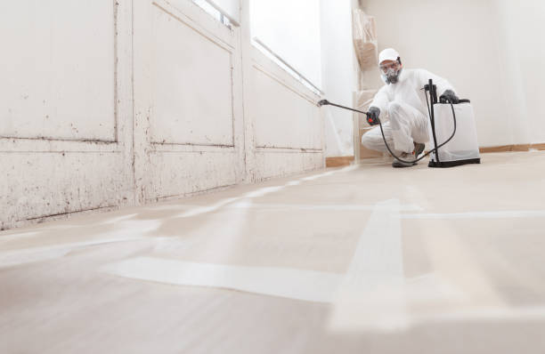 24/7 Emergency Mold Inspection experts in Laurel, VA