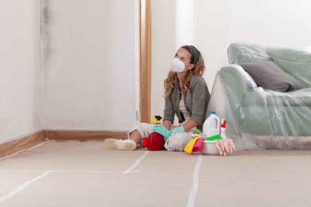 Reliable Mold Cleanup contractor in Laurel, VA by Cheap Mold Removal